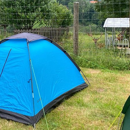 Camping F Selbstversorger Gut Jaegerhof Adults Only Semriach Dış mekan fotoğraf